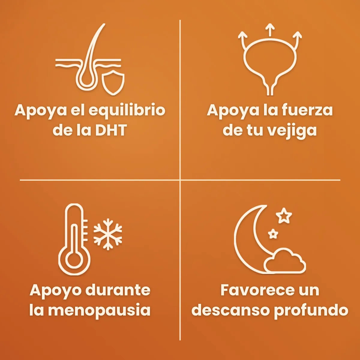 Beneficios: equilibrio de la DHT, vejiga, menopausia y descanso