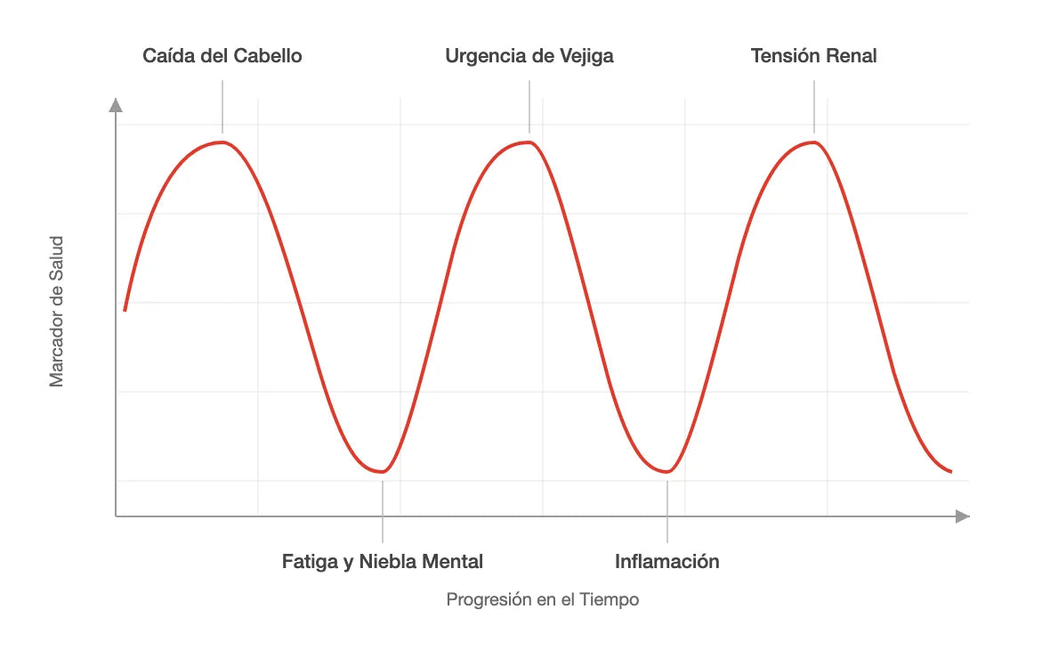 Progresi&oacute;n de s&iacute;ntomas