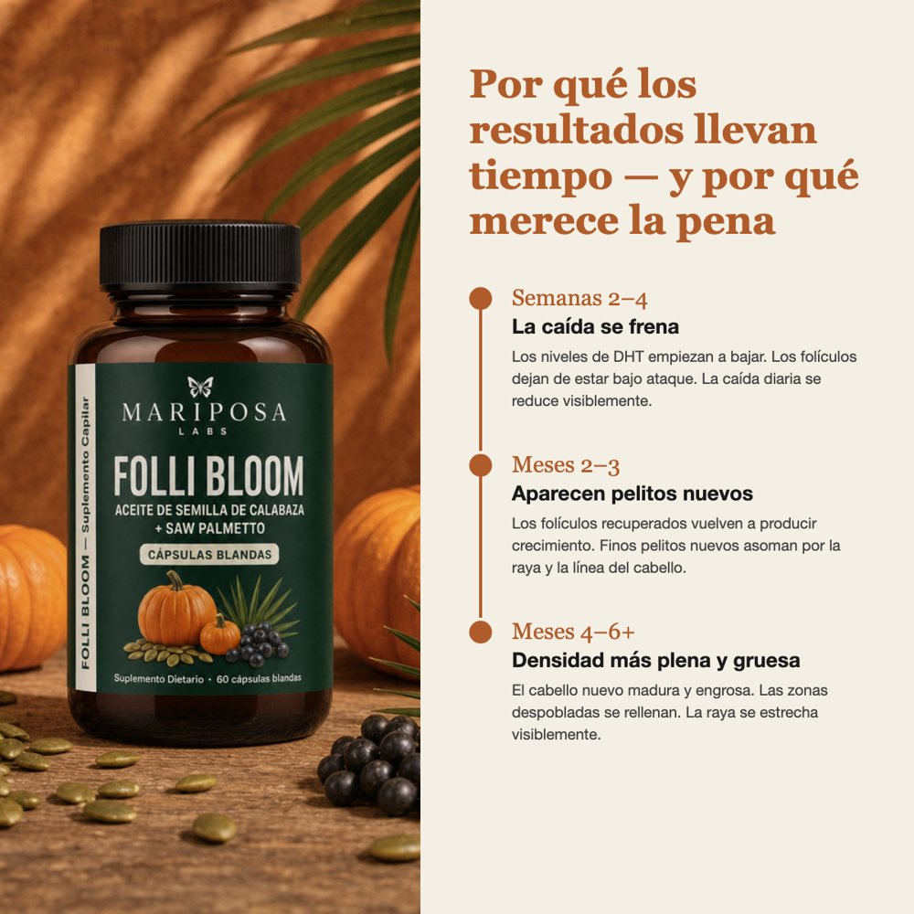 Por qué los resultados llevan tiempo