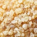 Boswellia